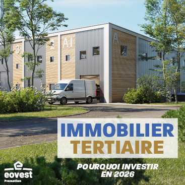 Immobilier Tertiaire 2026
